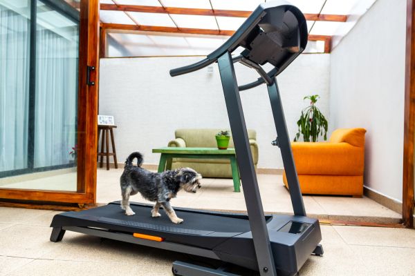 Treadmill Installation in Petaluma