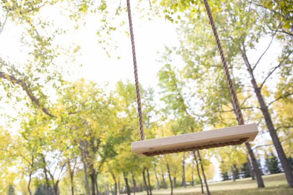 Tree Swing Installation in Petaluma