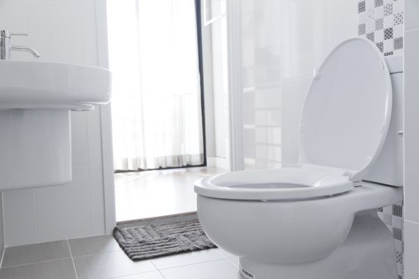 Toilet Seat Installation in Petaluma