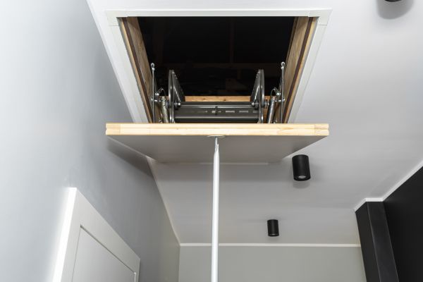 Attic Door Repair in Petaluma