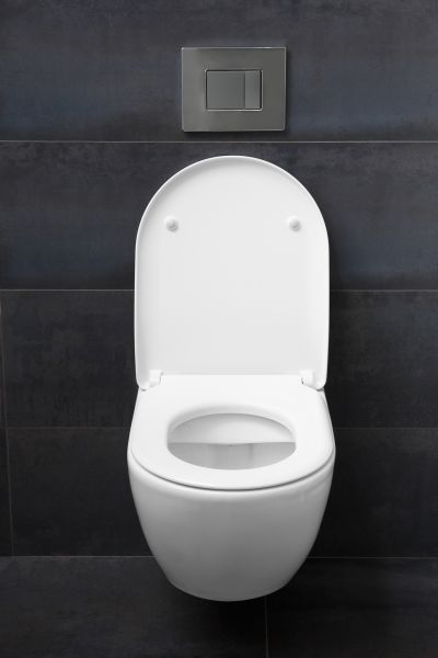 Toilet Lid Installation in Petaluma