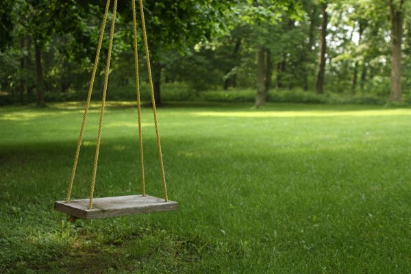 Rope Swing Installation in Petaluma