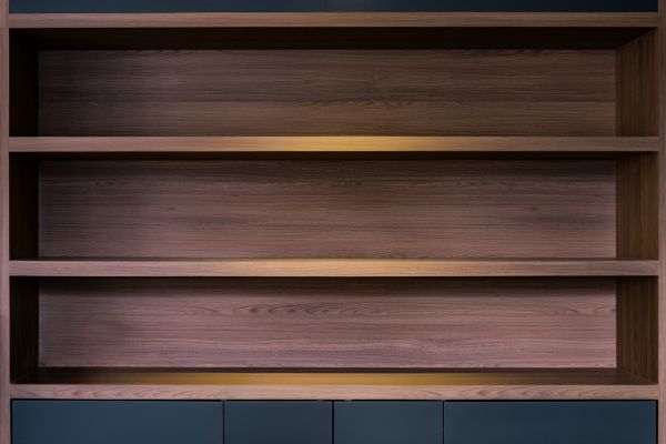 Bookcase Mounting in Petaluma