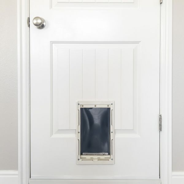 Pet Door Repair in Petaluma