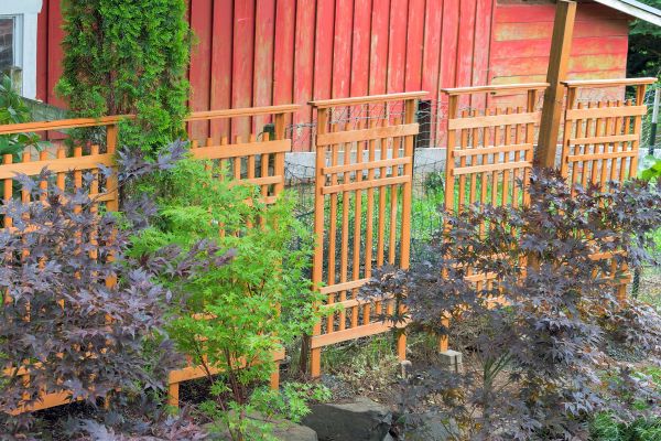 Wood Trellis Mounting in Petaluma