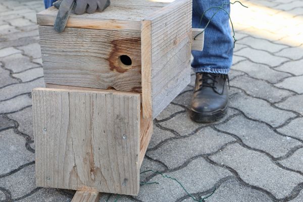 Birdhouse Mounting in Petaluma