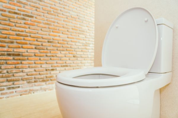 Toilet Seat Repair in Petaluma