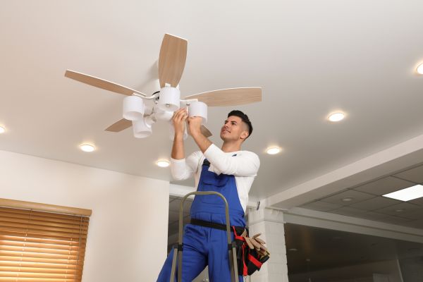 Ceiling Fan Bulb Replacement in Petaluma